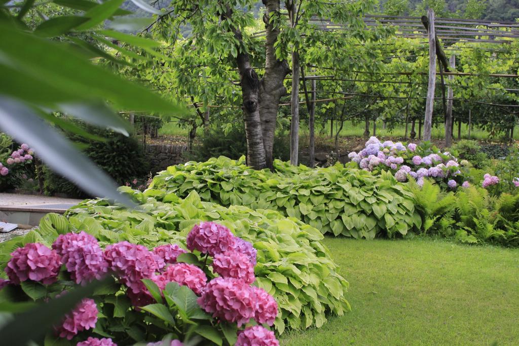 Apartments Gasserhof 라군도 외부 사진